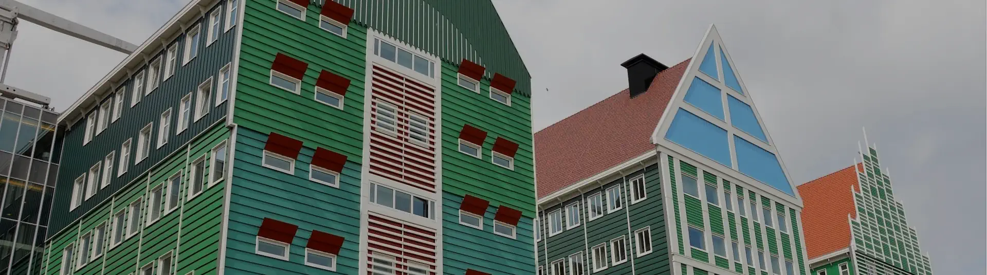 daken zaandam dakdekker