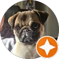 Ton Roovers Avatar