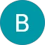 Bram Visser Avatar