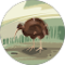 Anoesjka Timmermans Avatar